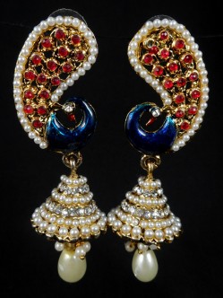 Fashion Earrings